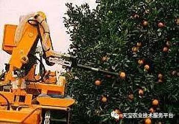 采摘柑桔机器人