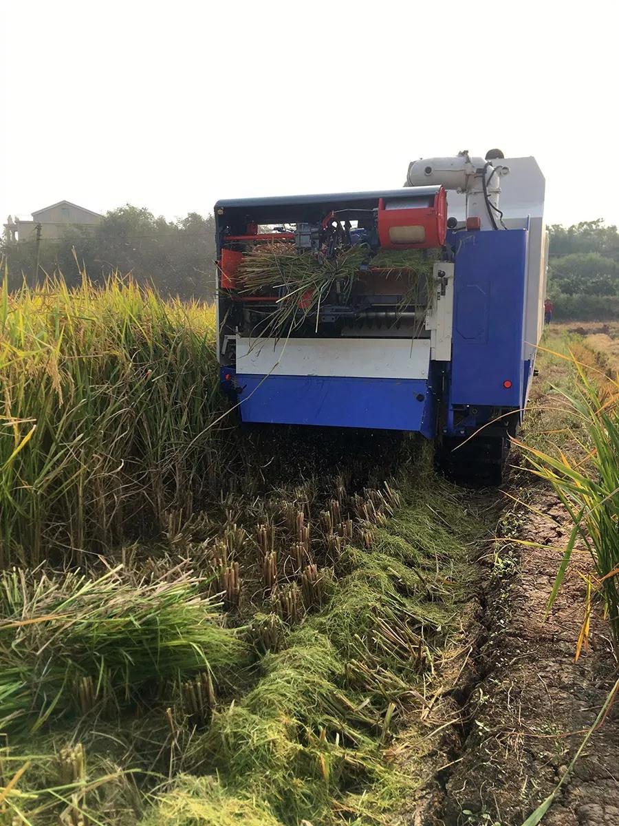 水稻收割机改装打浆机图片